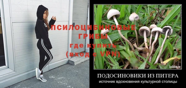 гидропоника Алзамай