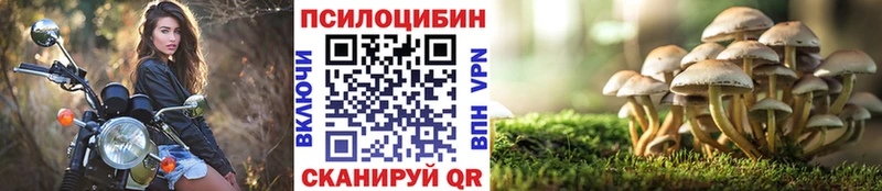 Псилоцибиновые грибы MAGIC MUSHROOMS Могоча